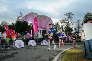 BIB: 
                            <button type="button" onclick="openModal(26529355)" class="btn btn-primary btn-sm float-right btn-popup" data-toggle="modal" data-target=".modal-high-quality">
                        <i class="fas fa-shopping-cart"></i> Add to Cart
                    </button>
                                            <button type="button" onclick="isThisMe(26529355, true)" class="btn btn-success btn-sm float-right btn-popup btn-isme hidden" data-toggle="tooltip" data-placement="bottom" title="นี่คือรูปของคุณใช่ไหม คลิกที่นี่เพื่อเอาเข้าอัลบั้ม">
                        <i class="fas fa-plus"></i> Add to album
                    </button>
                    <button type="button" onclick="isThisMe(26529355, false)" class="btn btn-warning btn-sm float-right btn-popup btn-isnotme hidden">
                        <i class="fas fa-ban"></i> Remove from album
                    </button>